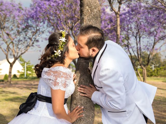 La boda de Luis y Mariana en Azcapotzalco, Ciudad de México 29