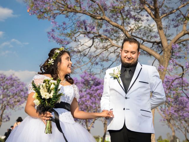 La boda de Luis y Mariana en Azcapotzalco, Ciudad de México 30