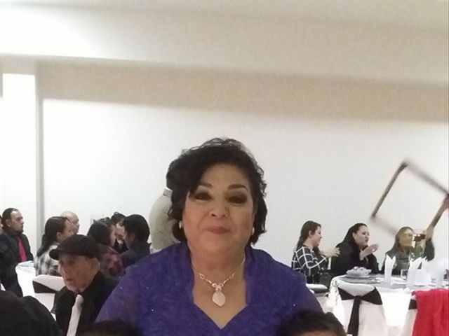 La boda de Jesús  y Carolina en Aguascalientes, Aguascalientes 7