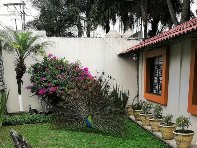 La boda de Deyssi y Julio César  en Córdoba, Veracruz 16