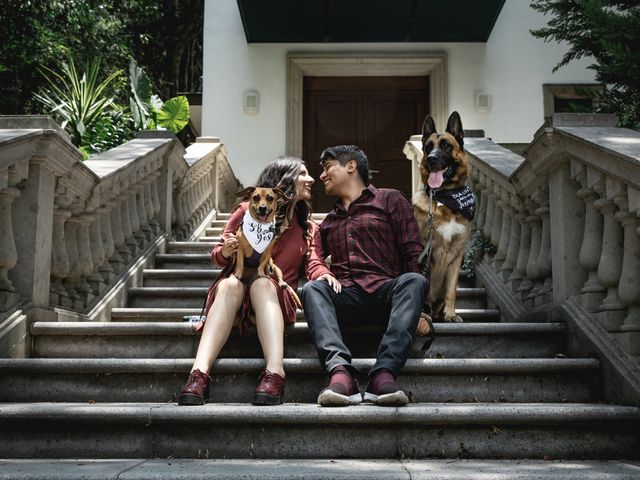 La boda de Enrique y Julieta en Coyoacán, Ciudad de México 60