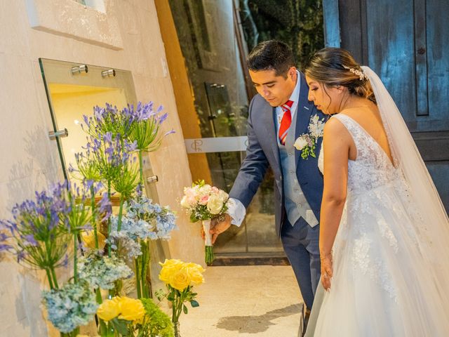 La boda de Lourdes y Sergio en Tlalpan, Ciudad de México 14