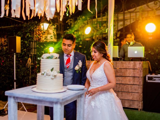 La boda de Lourdes y Sergio en Tlalpan, Ciudad de México 22