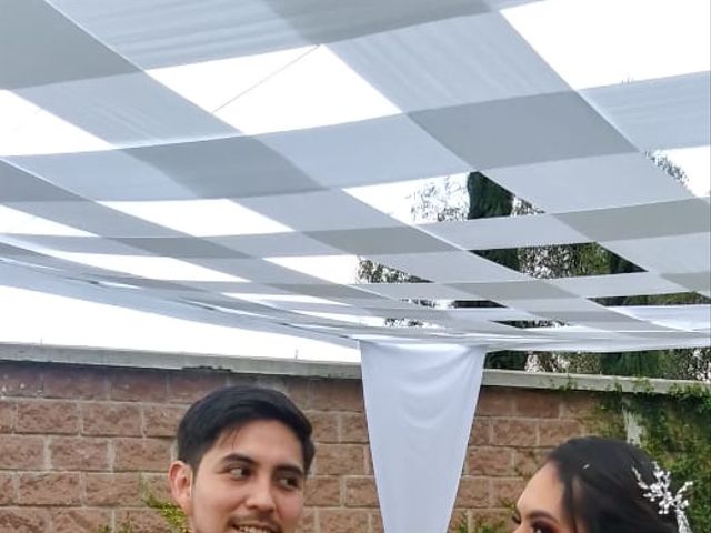 La boda de Luis y Cecy en Puebla, Puebla 7