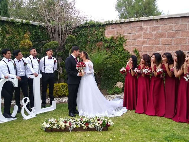 La boda de Luis y Cecy en Puebla, Puebla 8