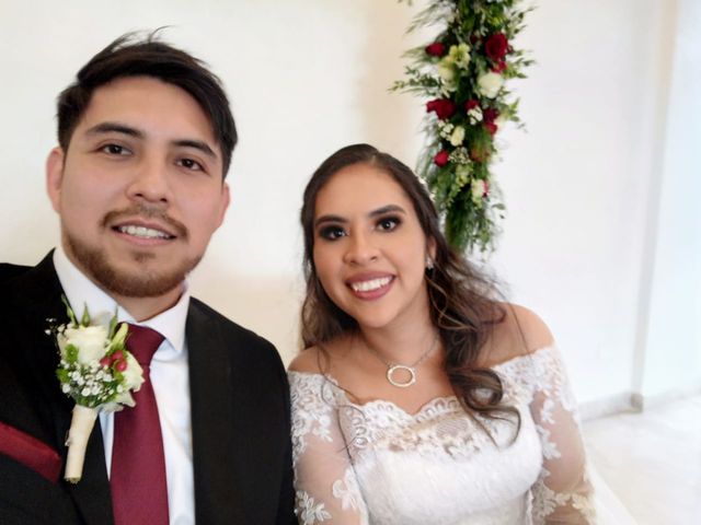 La boda de Luis y Cecy en Puebla, Puebla 11
