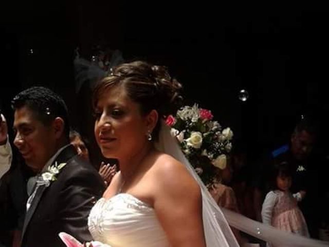 La boda de Miguel y Verónica en Naucalpan, Estado México 12