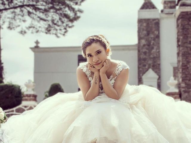La boda de Rigo y Laisa  en Toluca, Estado México 6