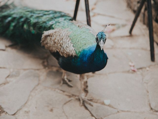 La boda de Aaron y Mónica en Omitlán de Juárez, Hidalgo 61