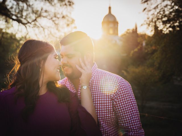 La boda de Luis y Claudia en Irapuato, Guanajuato 29