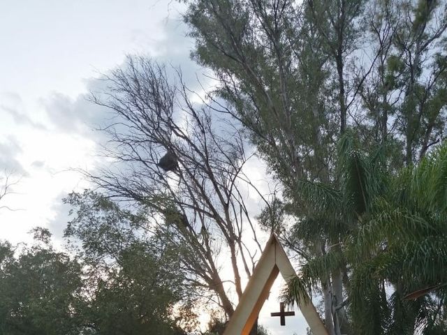 La boda de Edgar  y Estefani  en Aguascalientes, Aguascalientes 6