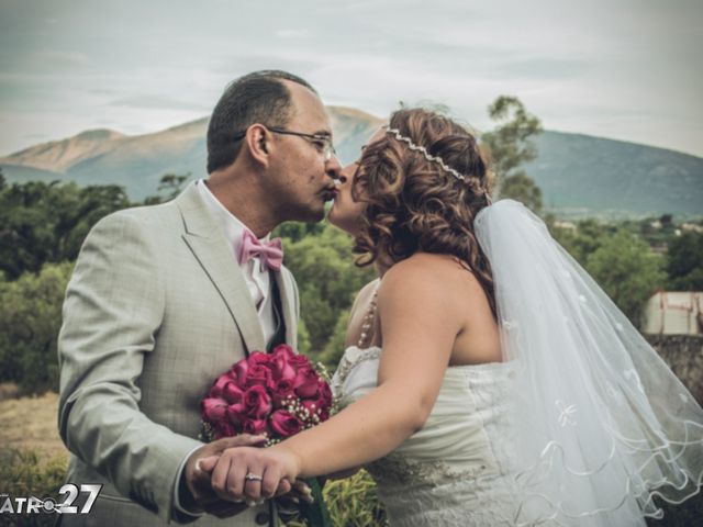 La boda de Marco y Diana en Tequisquiapan, Querétaro 16