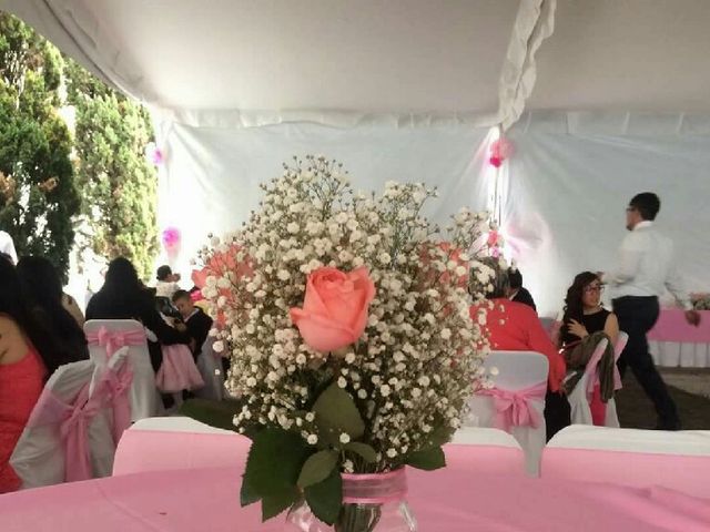 La boda de Arturo y Yanín en Iztapalapa, Ciudad de México 23