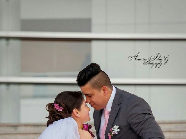 La boda de Pedro y Tania en Mineral de La Reforma, Hidalgo 5