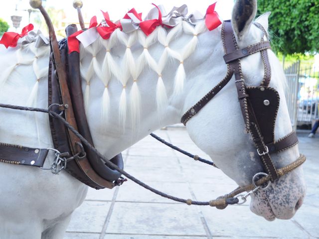 La boda de Milagros y Leonel en Cuerámaro, Guanajuato 76