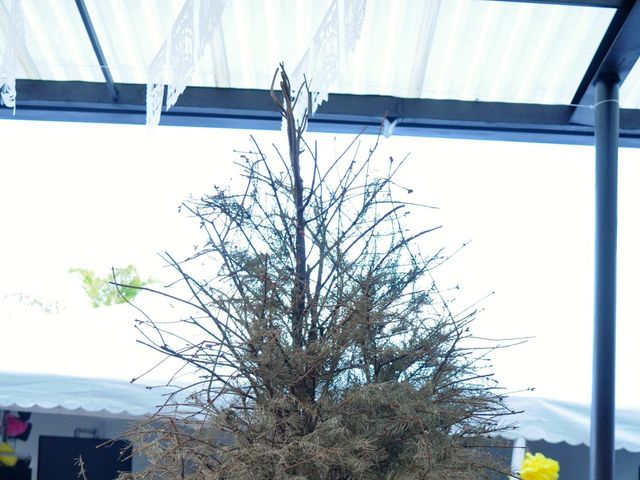 La boda de Milagros y Leonel en Cuerámaro, Guanajuato 112