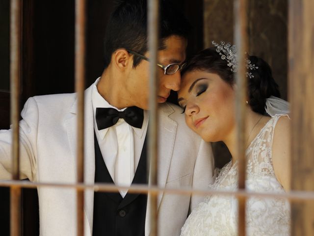 La boda de Luis y Lili en Guadalajara, Jalisco 2