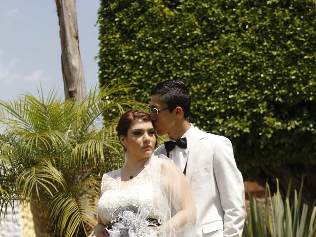 La boda de Luis y Lili en Guadalajara, Jalisco 8