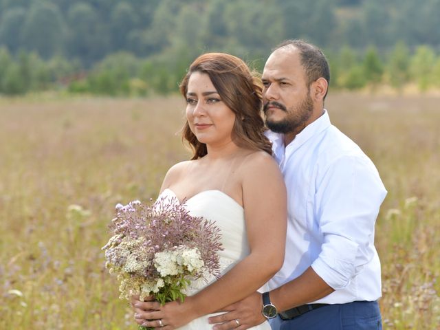 La boda de Victor y Abigail en Guadalajara, Jalisco 50