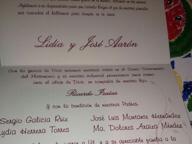 La boda de Jose Aaron y Lidia en San Luis Potosí, San Luis Potosí 2