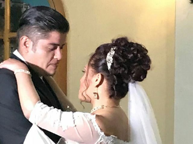 La boda de Jose Aaron y Lidia en San Luis Potosí, San Luis Potosí 5