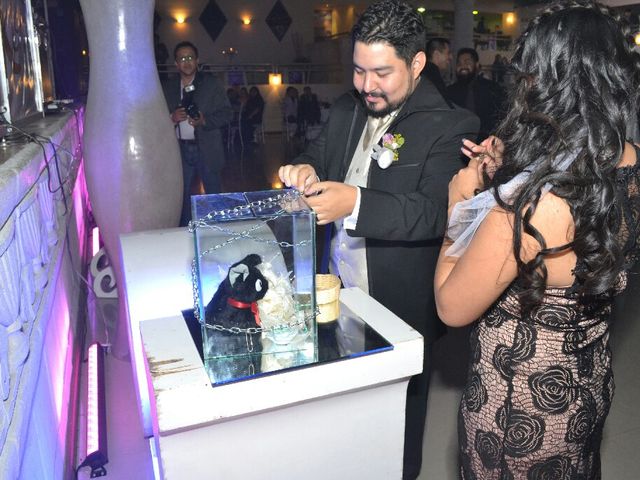 La boda de Alan y Mina en Victoria, Tamaulipas 6