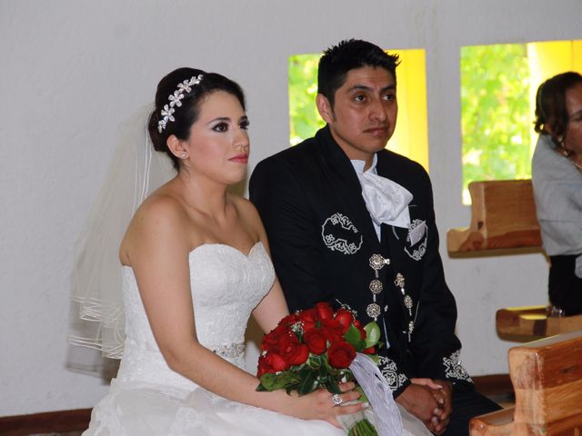 La boda de Gustavo Aarón y Paulina en Tlalpan, Ciudad de México 10
