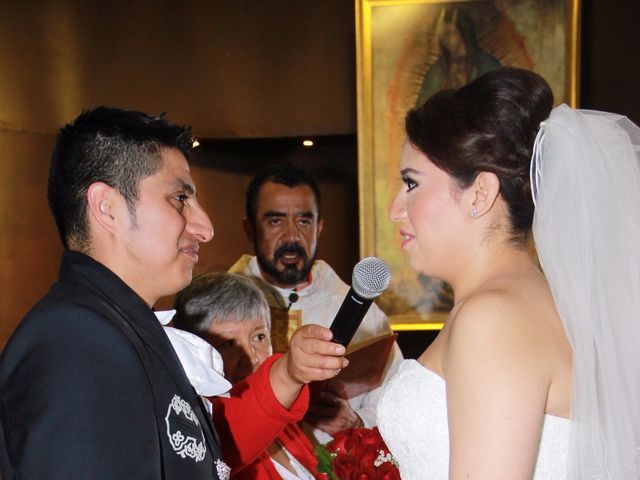 La boda de Gustavo Aarón y Paulina en Tlalpan, Ciudad de México 11