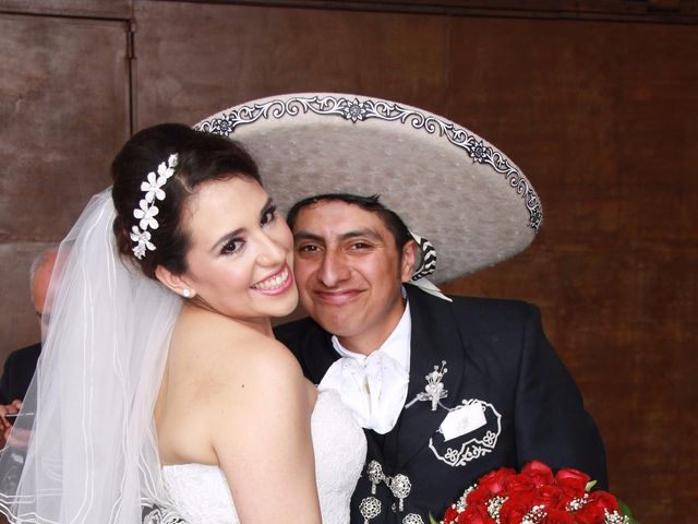 La boda de Gustavo Aarón y Paulina en Tlalpan, Ciudad de México 12