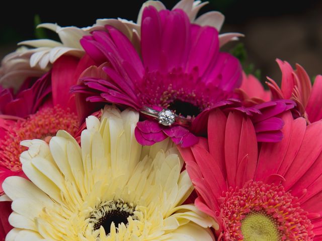 La boda de Sergio y Alejandra en Jiutepec, Morelos 6