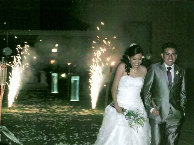 La boda de Areli  y Raul en Puebla, Puebla 28