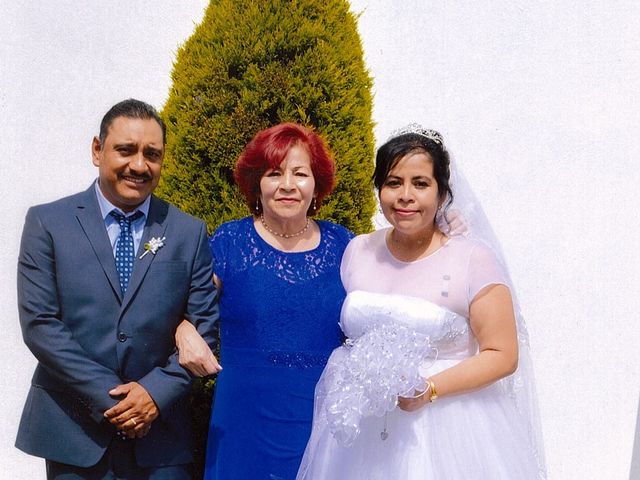 La boda de Manuel y Anita en San Luis Potosí, San Luis Potosí 6