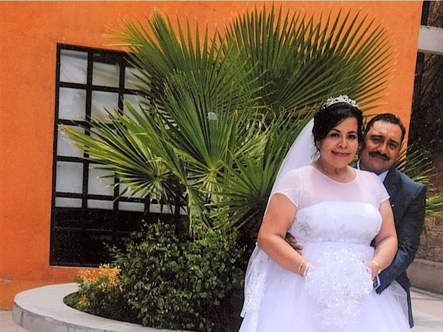 La boda de Manuel y Anita en San Luis Potosí, San Luis Potosí 13