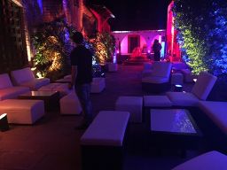 La boda de Sai y Chris en León, Guanajuato 37