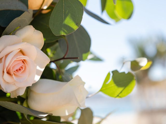 La boda de David y Kristen en Los Cabos, Baja California Sur 3