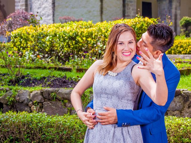 La boda de Alejandro y Jessica en Cuauhtémoc, Ciudad de México 7