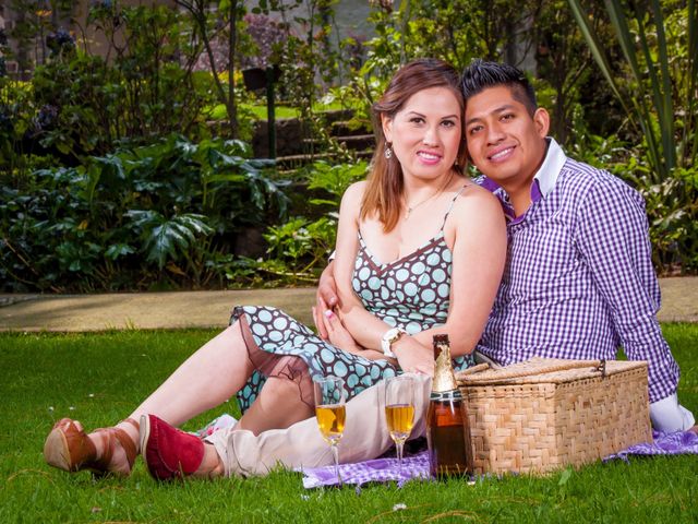 La boda de Alejandro y Jessica en Cuauhtémoc, Ciudad de México 15