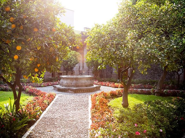 La boda de Adolfo y Cecilia en Tlalpan, Ciudad de México 16