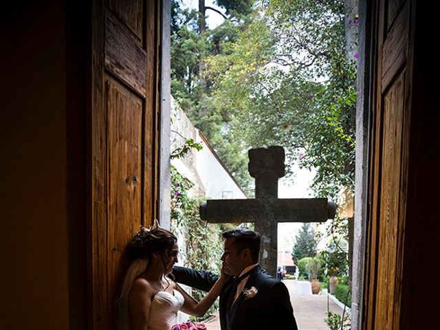 La boda de Adolfo y Cecilia en Tlalpan, Ciudad de México 24