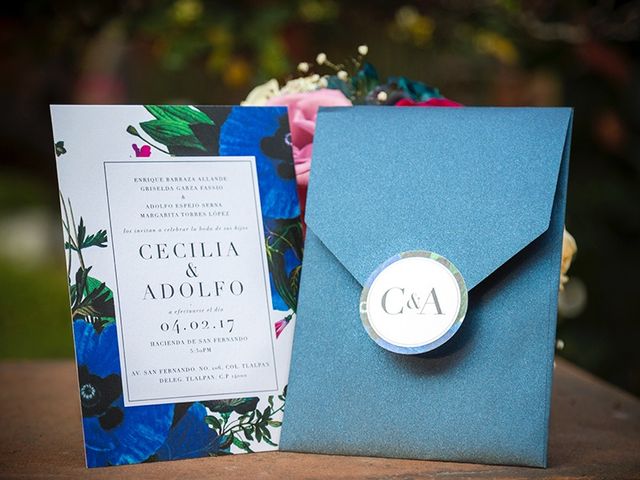 La boda de Adolfo y Cecilia en Tlalpan, Ciudad de México 37