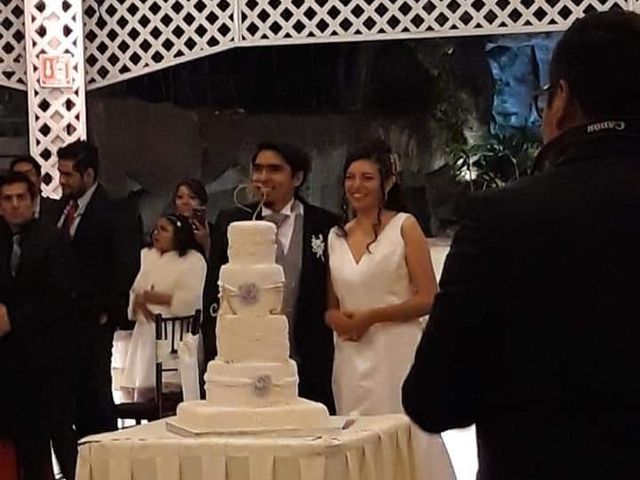 La boda de Antonio  y Iliane  en Álvaro Obregón, Ciudad de México 13