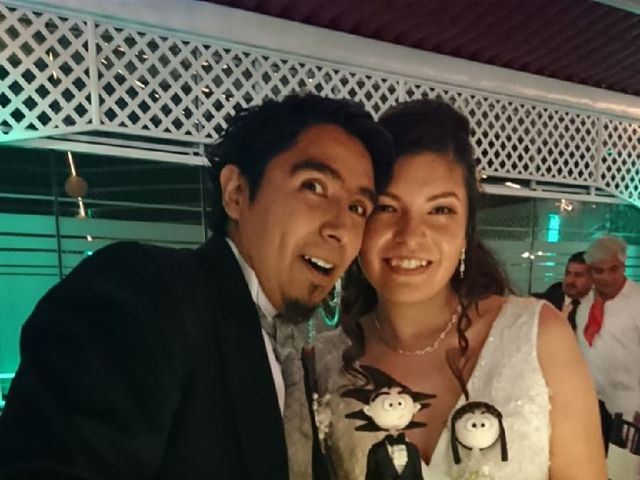 La boda de Antonio  y Iliane  en Álvaro Obregón, Ciudad de México 22