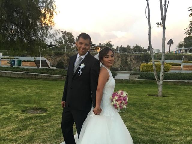 La boda de Alfredo y Guadalupe en Puebla, Puebla 7