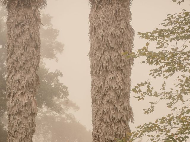 La boda de Vicente y Leslye en Banderilla, Veracruz 6