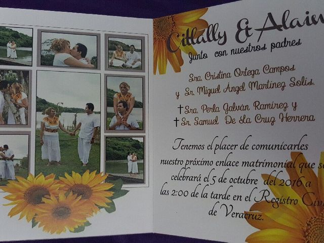 La boda de Alain y Citlally  en Veracruz, Veracruz 10