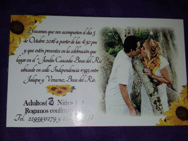 La boda de Alain y Citlally  en Veracruz, Veracruz 33