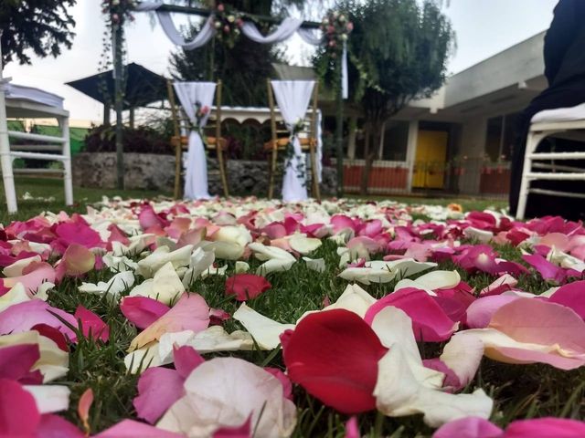 La boda de Héctor y Damaris en Xochimilco, Ciudad de México 15