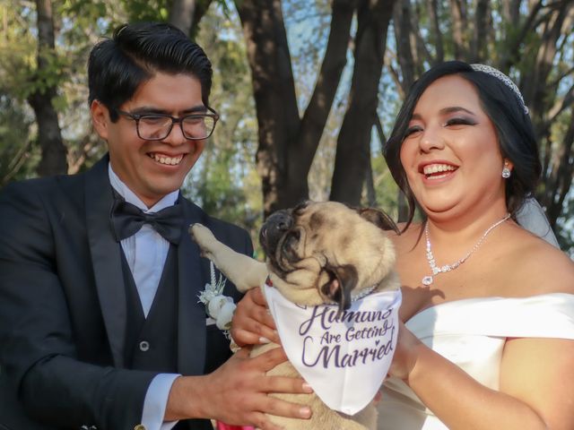 La boda de Jorge y Tania en Querétaro, Querétaro 8
