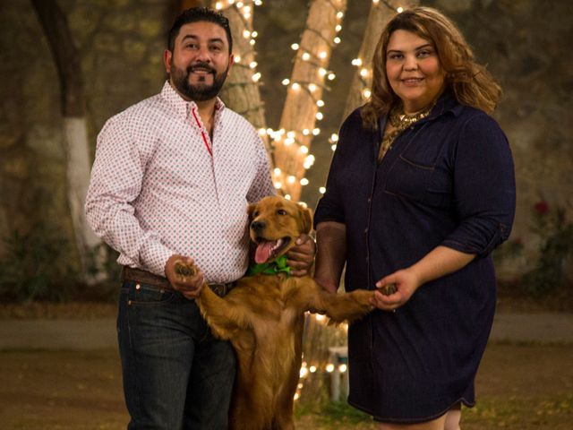 La boda de Ileana y Aldo en Ciudad Juárez, Chihuahua 19