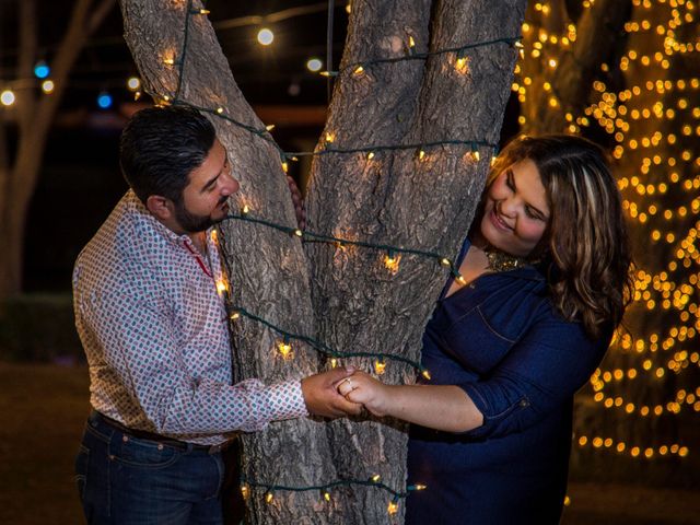 La boda de Ileana y Aldo en Ciudad Juárez, Chihuahua 21